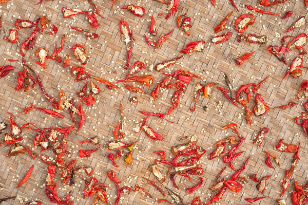 Red chili peppers drying in the sun