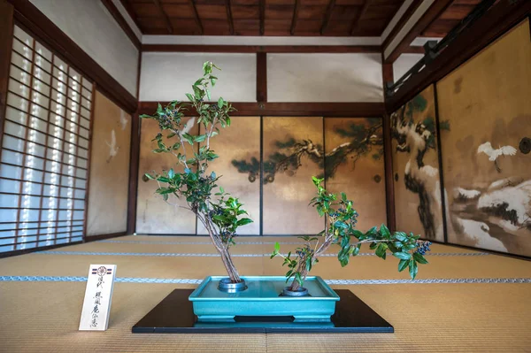 Декоративные филиалы в храме Нинна-Цзи, Киото, Япония — стоковое фото