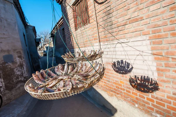 Pequenos peixes secando ao sol em um hutong de Pequim, China — Fotografia de Stock