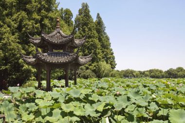 Köşk ve lotus gölet, West Lake, Hangzhou