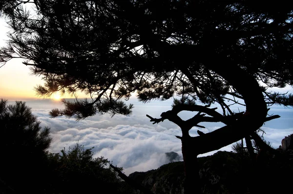 Tai Shan Sunrise, provincia di Shandong, Cina — Foto Stock