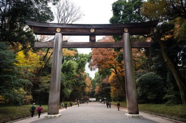 Tokyo, Japonya - 30 Kasım 2017 - Meiji Tapınağı 'nın girişindeki büyük torii kapısı (Meiji Jingu), Shibuya, Tokyo, Japonya