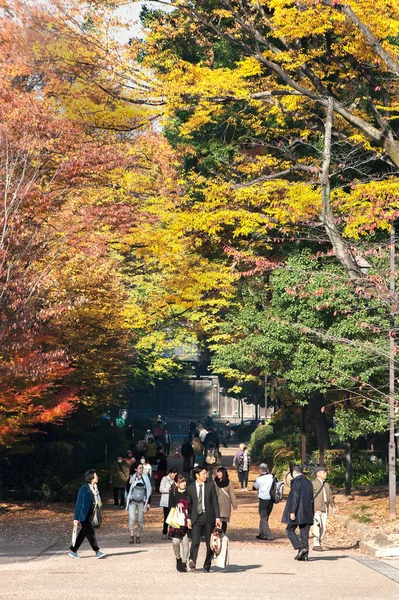 Mensen wandelen onder de kleurrijke herfstbladeren in Ueno Park, T — Stockfoto