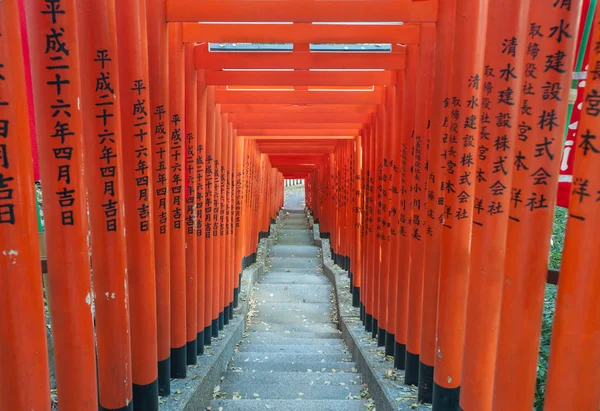 Тоннель Красных ворот Тори в святилище Хе, Акасака, Токио — стоковое фото