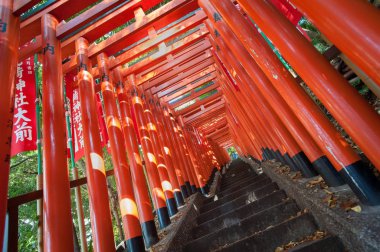 Red Torii gate tunnel at Hie Shrine, Akasaka, Tokyo clipart