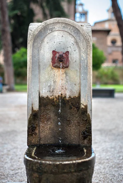 Drinking fountain with a wolf\'s head spout in the garden of the Orange Trees on the Aventine Hill, Rome. The wolf is one of the most famous symbols of Rome.