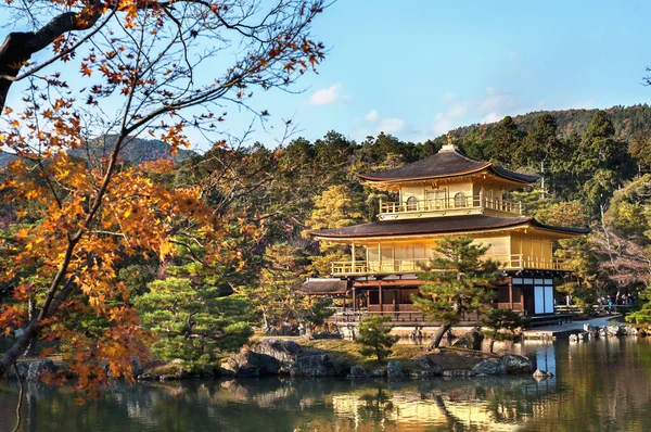 Осень Золотом Павильоне Кинкаку Дзи Киото Япония — стоковое фото