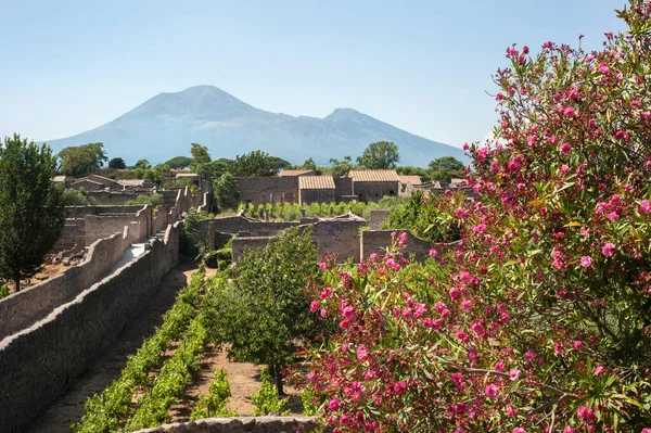 View Mount Vesuvius Ancient Town Pompeii Italy — Stock Photo, Image