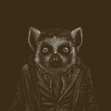 tatlı ve serin lemur arıyorsunuz 