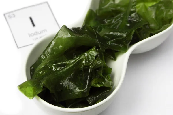 Beyaz bir arka planda bir yazıt f Laminaria (deniz kale)