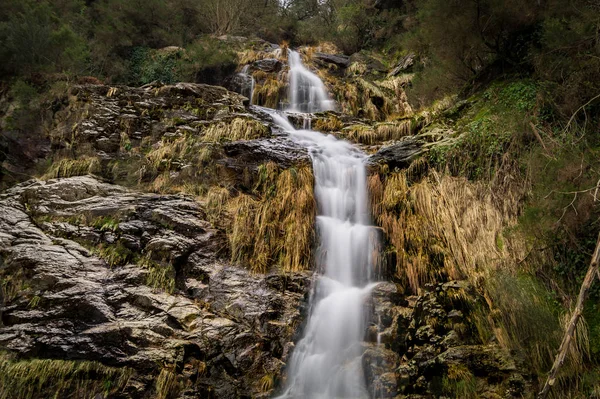 Cascata — Fotografia de Stock