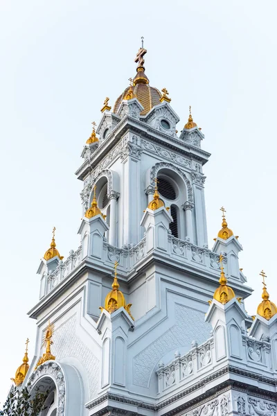 Болгарская Церковь Святого Стефана Железная Церковь Золотом Роге Стамбул Турция — стоковое фото