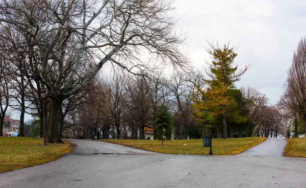 Parco Kalemegdan Belgrado Serbia — Foto Stock