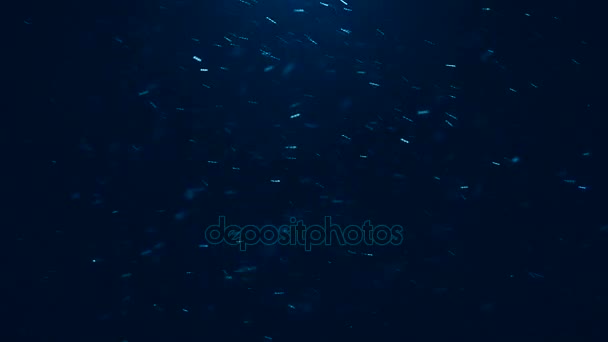 Particules lumineuses de neige volant dans l'air étincelles couleur bleu foncé fond clair Noël 