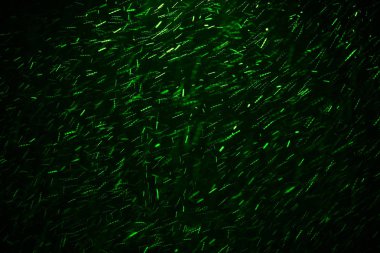 Noel bokeh yeşil arka plan ile parlayan parçacıklar kar