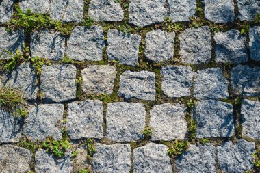 doku moss ile büyümüş taş döşeme