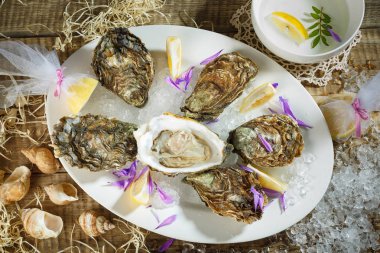 Oysters on crushed ice with antique oyster knife and silver fork with lemon fruit and pearls on a tin plate on a marble slab. Opened Oysters on metal copper plate on dark wooden background. clipart