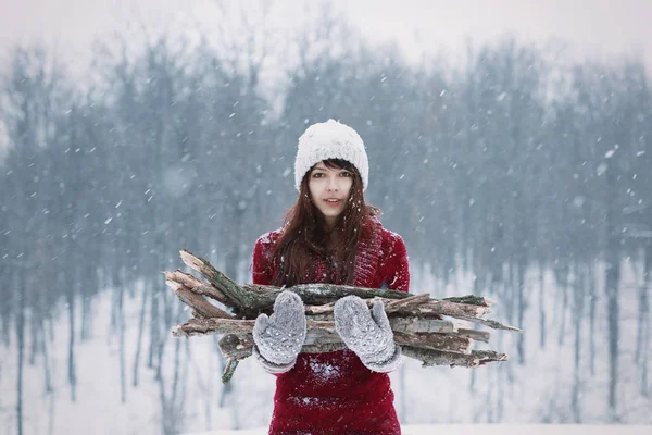 Hermosa chica congelada sosteniendo leña a pie a través del bosque de nieve de invierno. Chica con guante y leña. Maderas tibias y leñosas en invierno frío como la nieve. Manteniendo leña . Imagen De Stock