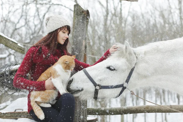 Hermosa chica linda con caballo blanco y gran gato esponjoso en invierno parque cubierto de nieve. Chica bonita acaricia caballo blanco. Retrato de chica y caballo. Caballo blanco . Fotos De Stock Sin Royalties Gratis