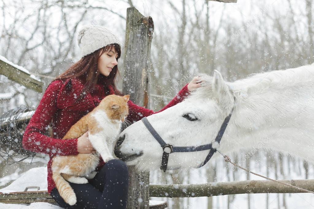 Beautiful cute girl with white horse and big fluffy cat in winter snowy park. Pretty girl caress white horse. Portrait of girl and horse. White horse.