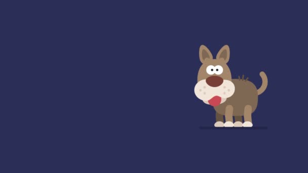 Σκύλος Και Τρεμούλιασμα Αστέρια Αστείο Χαρακτήρα Του Ζώου Κινέζικο Ωροσκόπιο — Αρχείο Βίντεο