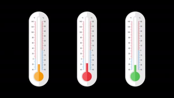 Thermometer Three Options Animation Option Transparent Background Loop Animation Motion — Stock Video