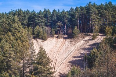 Ormanda yollar ayrılıyor.