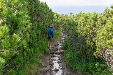 Genç erkeklerin aktif olarak yeniden yaratılması