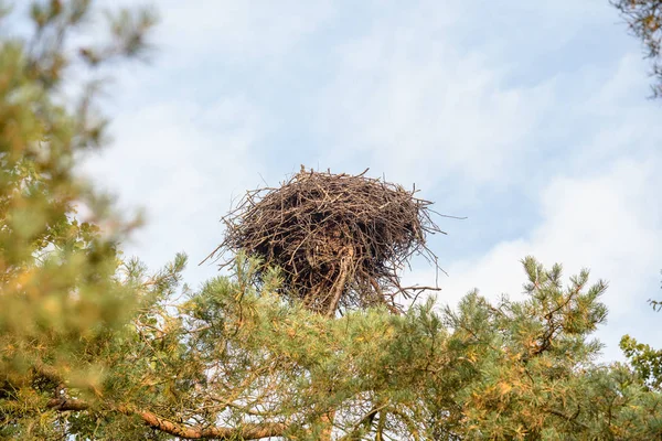 Belarus Güzel Manzarası — Stok fotoğraf