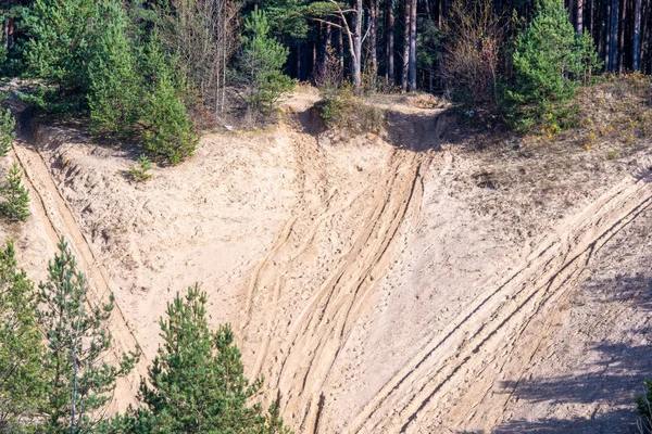 Ormanda yollar ayrılıyor.