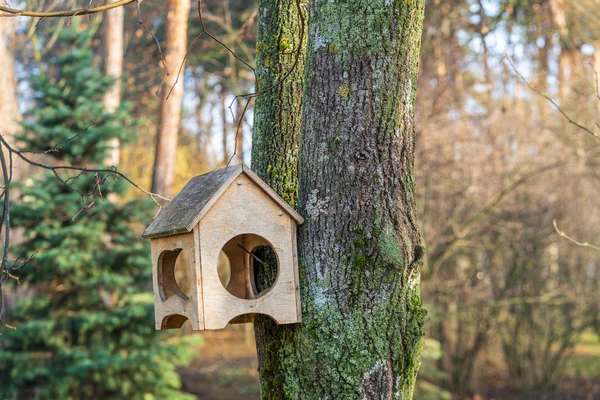 Nel Vecchio Parco — Foto Stock