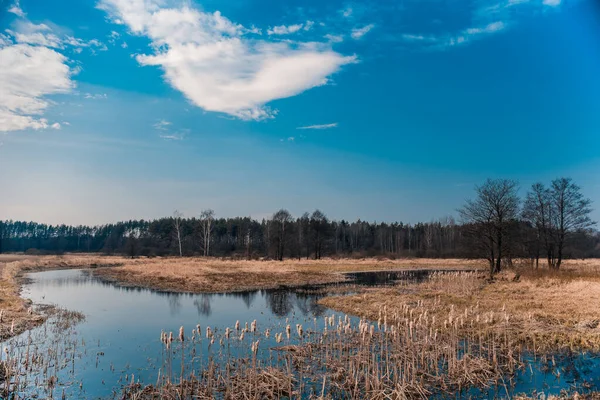Nature Biélorussie Dans Plaine Inondable Fleuve — Photo