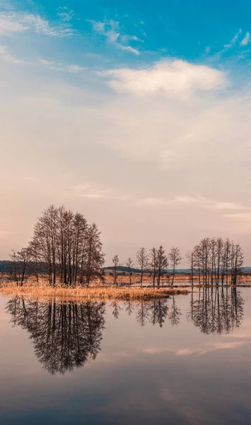 Visies Natuur Van Wit Rusland Met Reflectie — Stockfoto