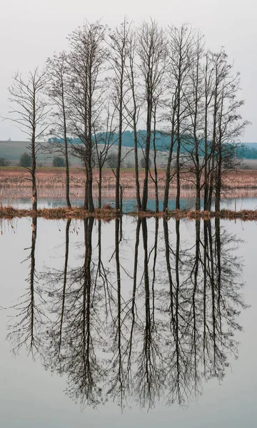 Pohled Přírodu Běloruska Reflexí — Stock fotografie