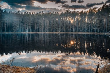 Belarus 'un taşrasındaki resim gibi bir göl.