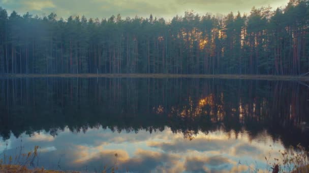 Blick Auf Den Malerischen See — Stockvideo