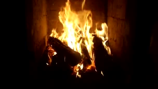 Logs Burning Home Oven — Stock Video