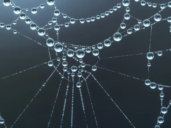 Sabah çiğ taneli örümcek ağı — Stok fotoğraf