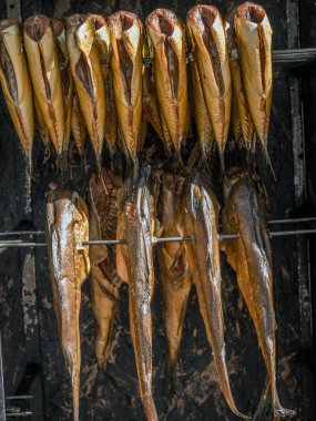 taze deniz balıkları 