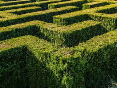 Hedge oluşan labirent