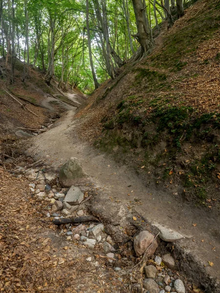 Raposa Ravine perto de Jastrzebia Gora — Fotografia de Stock