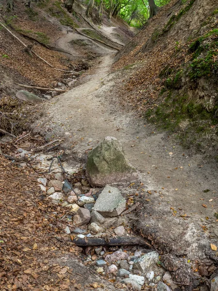 Tilki dağ geçidi Jastrzebia Gora yakınındaki — Stok fotoğraf