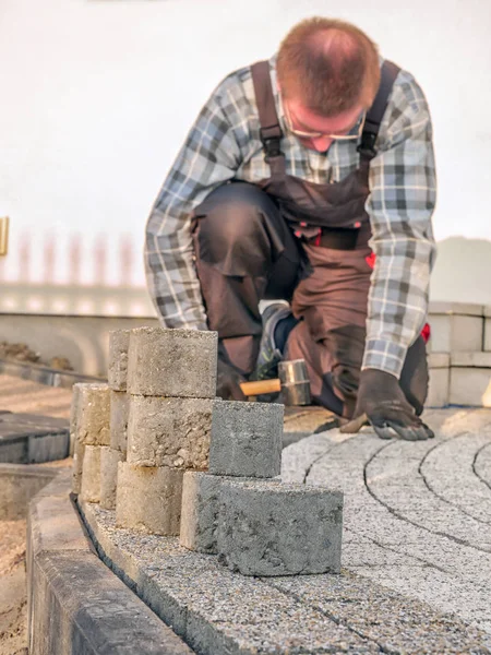 Paver på jobbet — Stockfoto