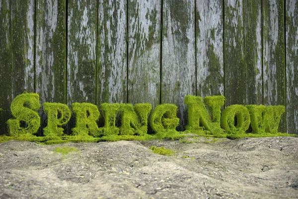 Vykreslování Čerstvé Zelené Jarní Nyní Textu Tvoří Větve Břečťanu Proti — Stock fotografie