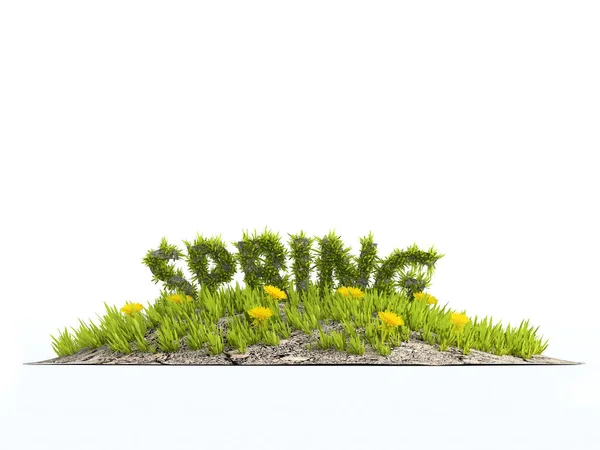 Representación Pequeña Isla Hierba Con Flores Amarillas Hierba Cubierta Palabra — Foto de Stock