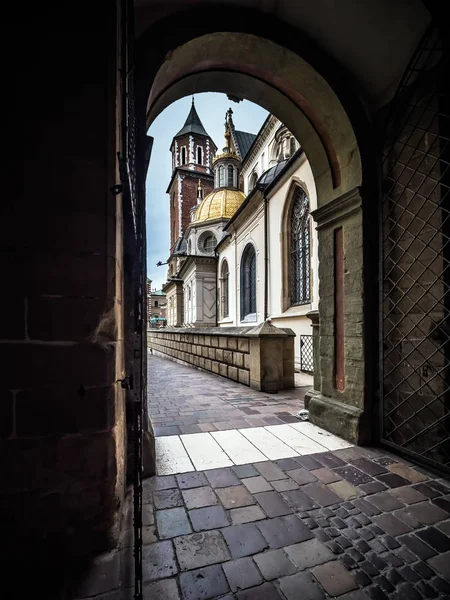 Wawel Katedrali, krakow, Polonya — Stok fotoğraf