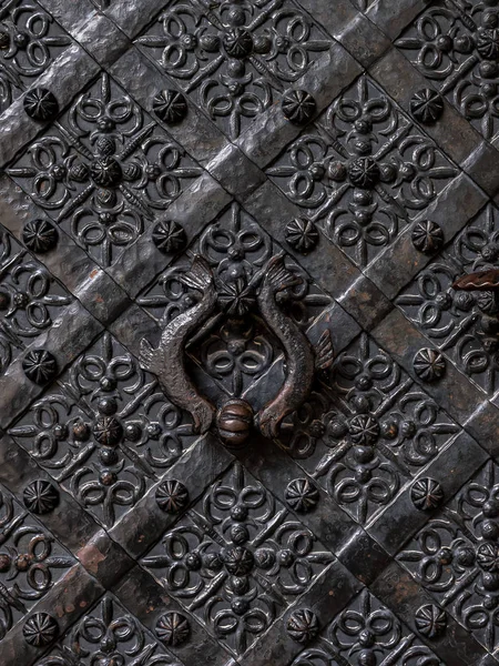 Prydnadsmetall dörr på Wawel slott, Krakow, Polen — Stockfoto