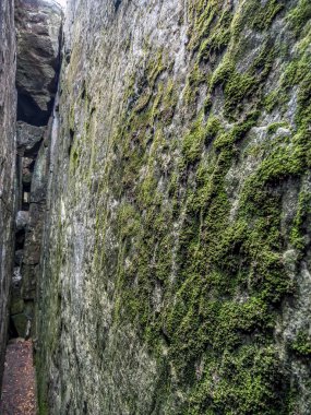 Polonya 'daki Masa Dağı Ulusal Parkı' nda Megalitik kaya oluşumları