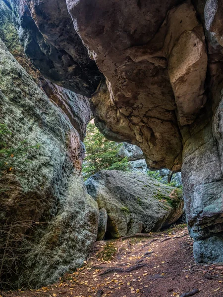 Sandstone Rock Formations Spruce Tree Found Mushroom Rocks Tourist Trail — Stock Photo, Image