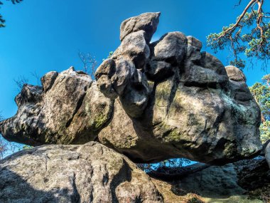 Polonya 'daki Masa Dağı Ulusal Parkı' nın Errant Kayaları içinde eşsiz bir kumlu kaya oluşumu